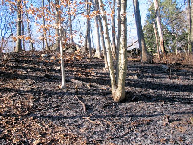 Brush Fire, South Bedford Road - 12/10/06